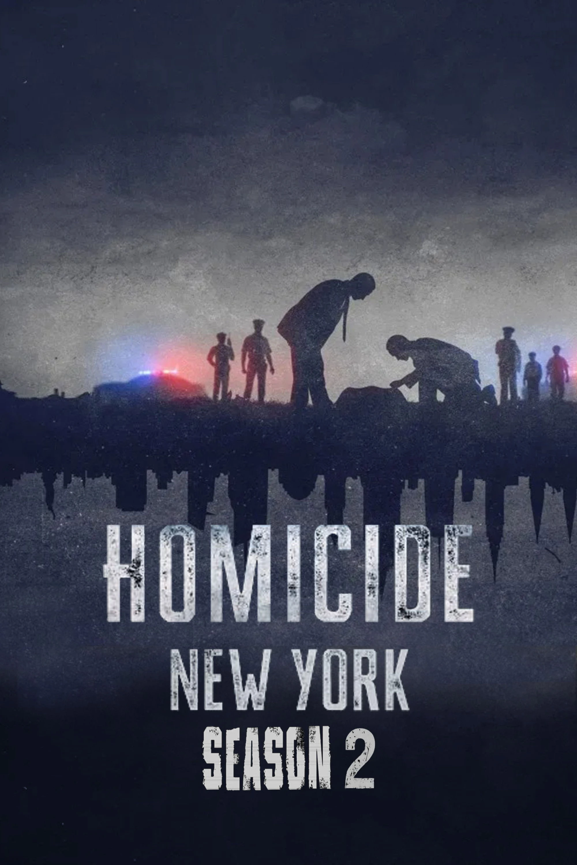 Án Mạng: New York (Phần 2) - Homicide: New York (Season 2)
