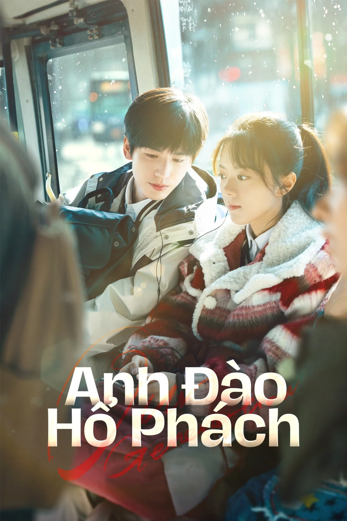 Anh Đào Hổ Phách - Our Generation