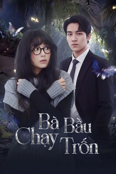 Bà Bầu Chạy Trốn - Three Moms on the Run