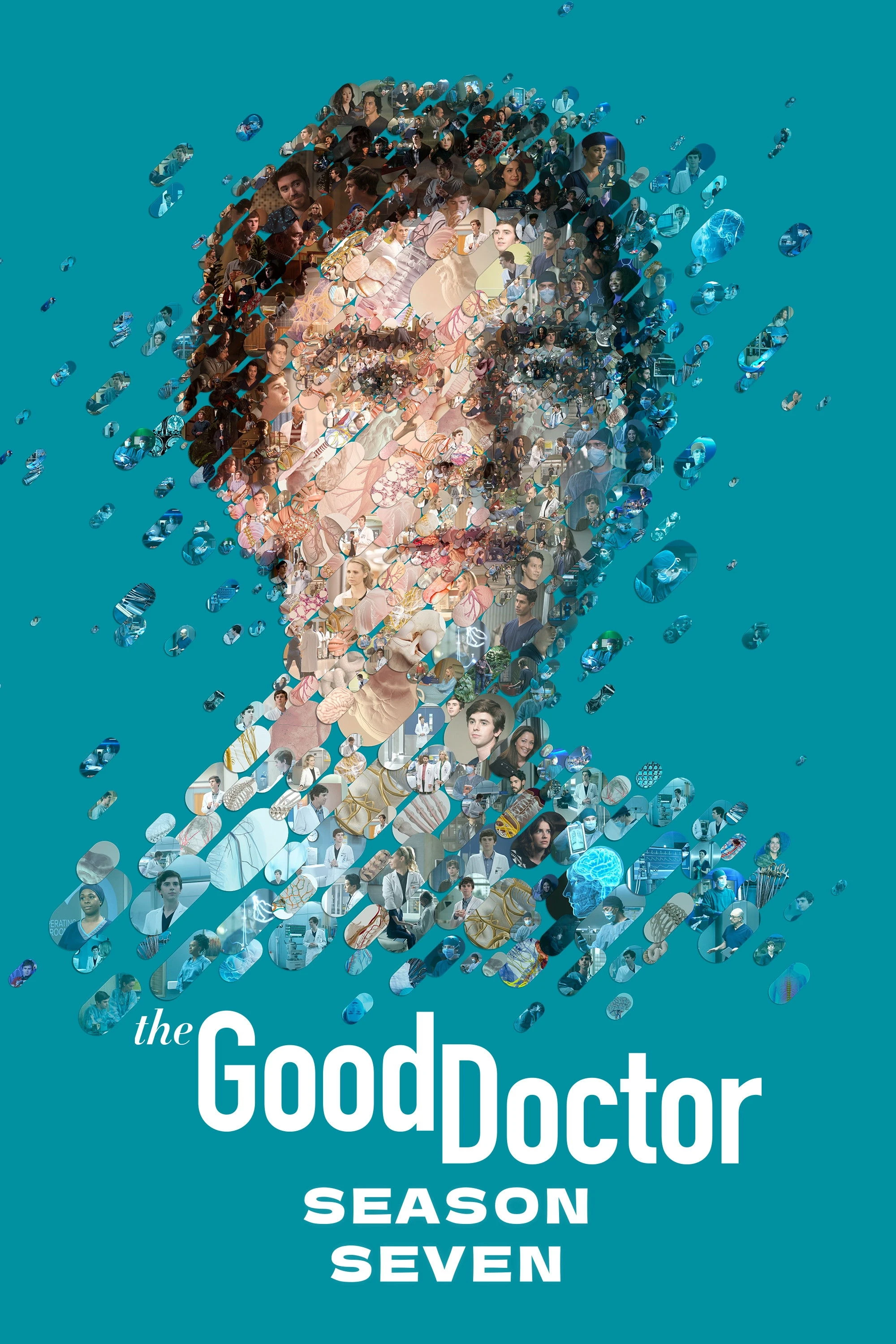 Bác Sĩ Thiên Tài (Phần 7) - The Good Doctor (Season 7)