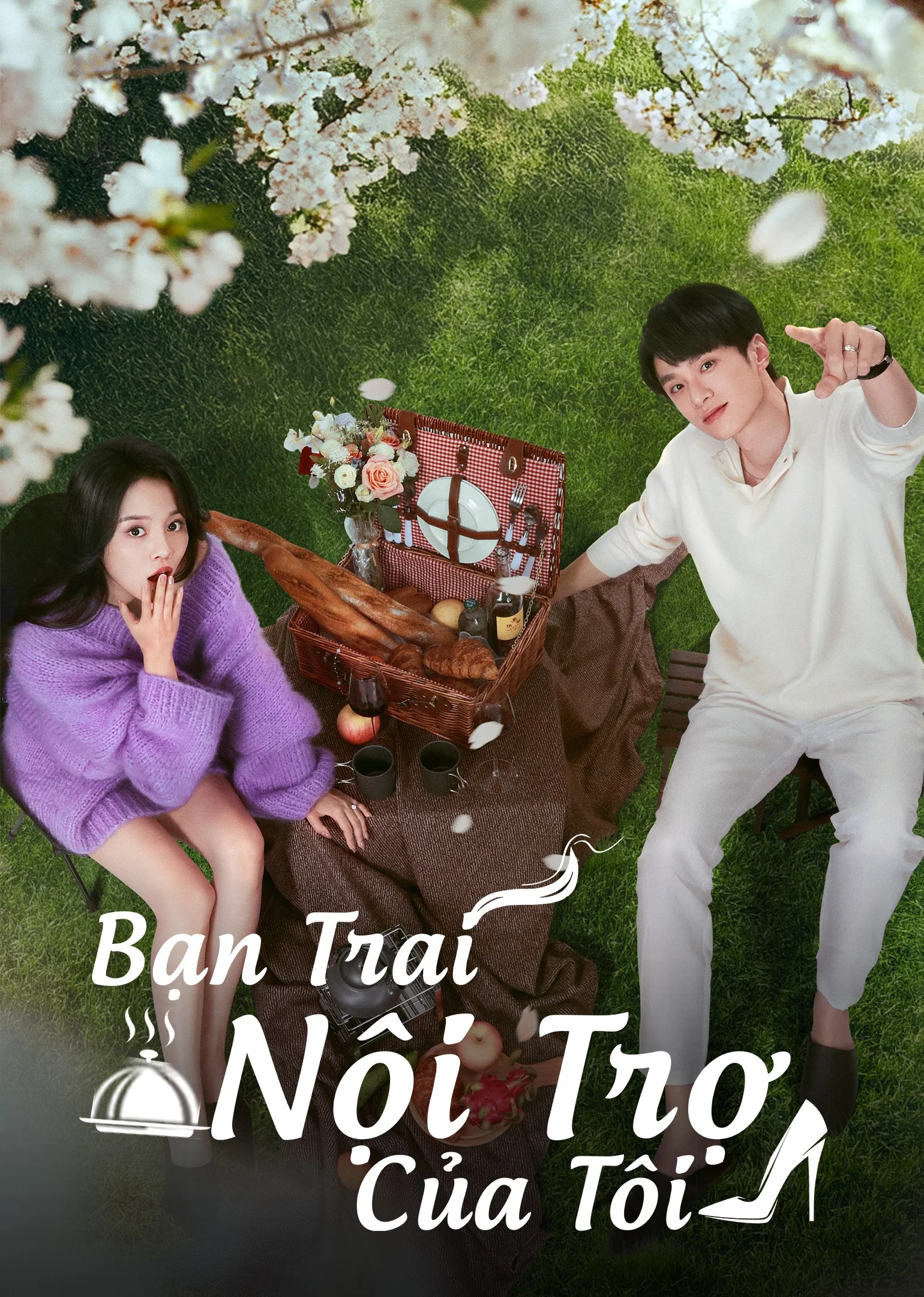 Bạn Trai Nội Trợ Của Tôi - My Boyfriend