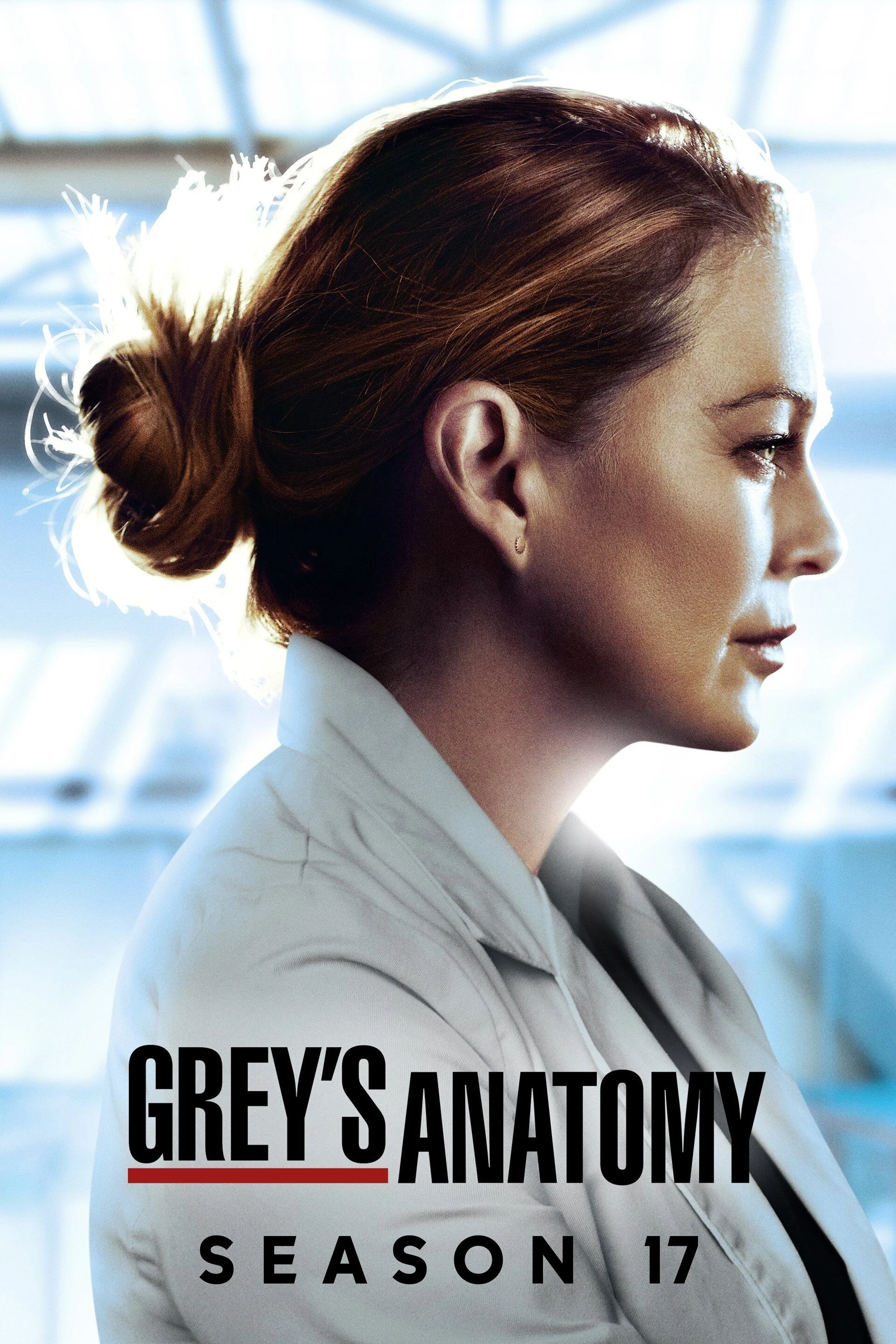 Ca Phẫu Thuật Của Grey (Phần 17) - Grey's Anatomy (Season 17)
