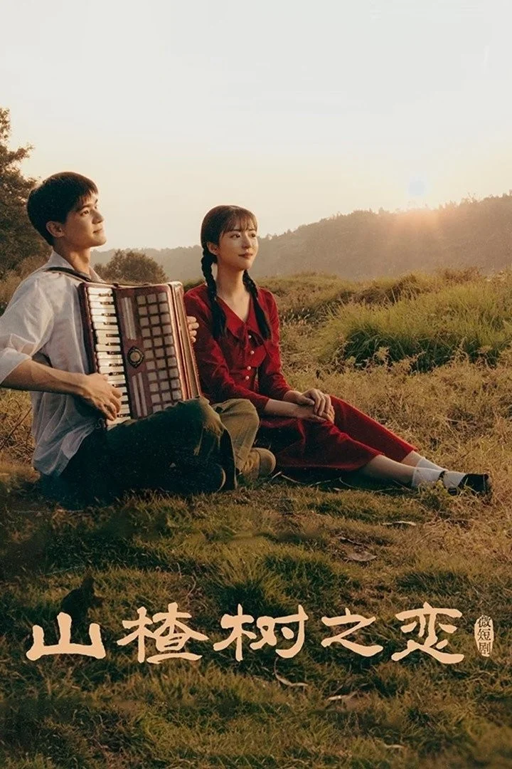 Chuyện Tình Cây Sơn Tra - When The Hawthorn Blooms