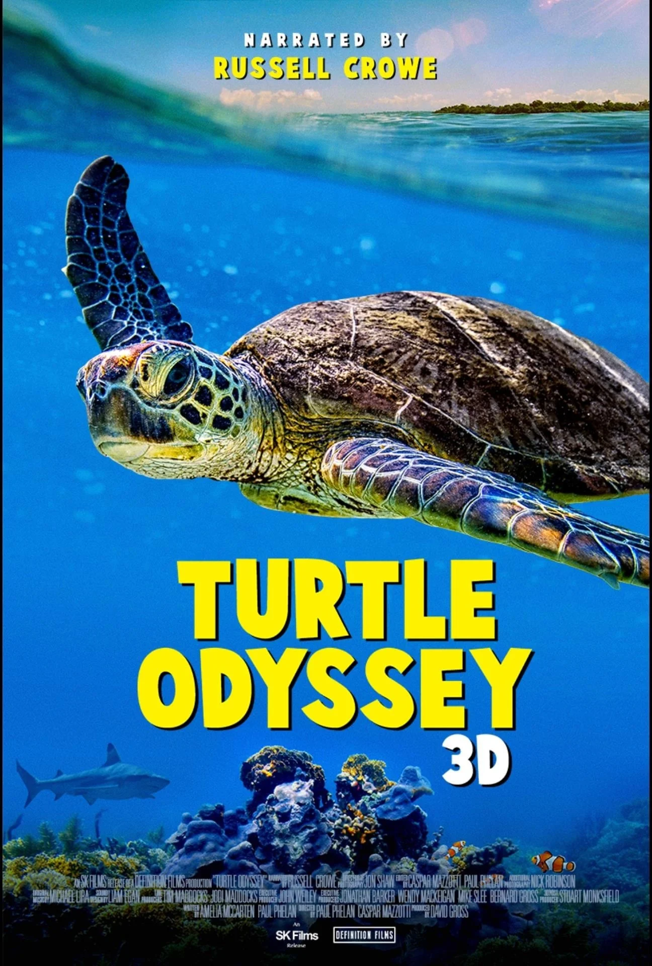 Cuộc Phiêu Lưu Của Rùa - Turtle Odyssey