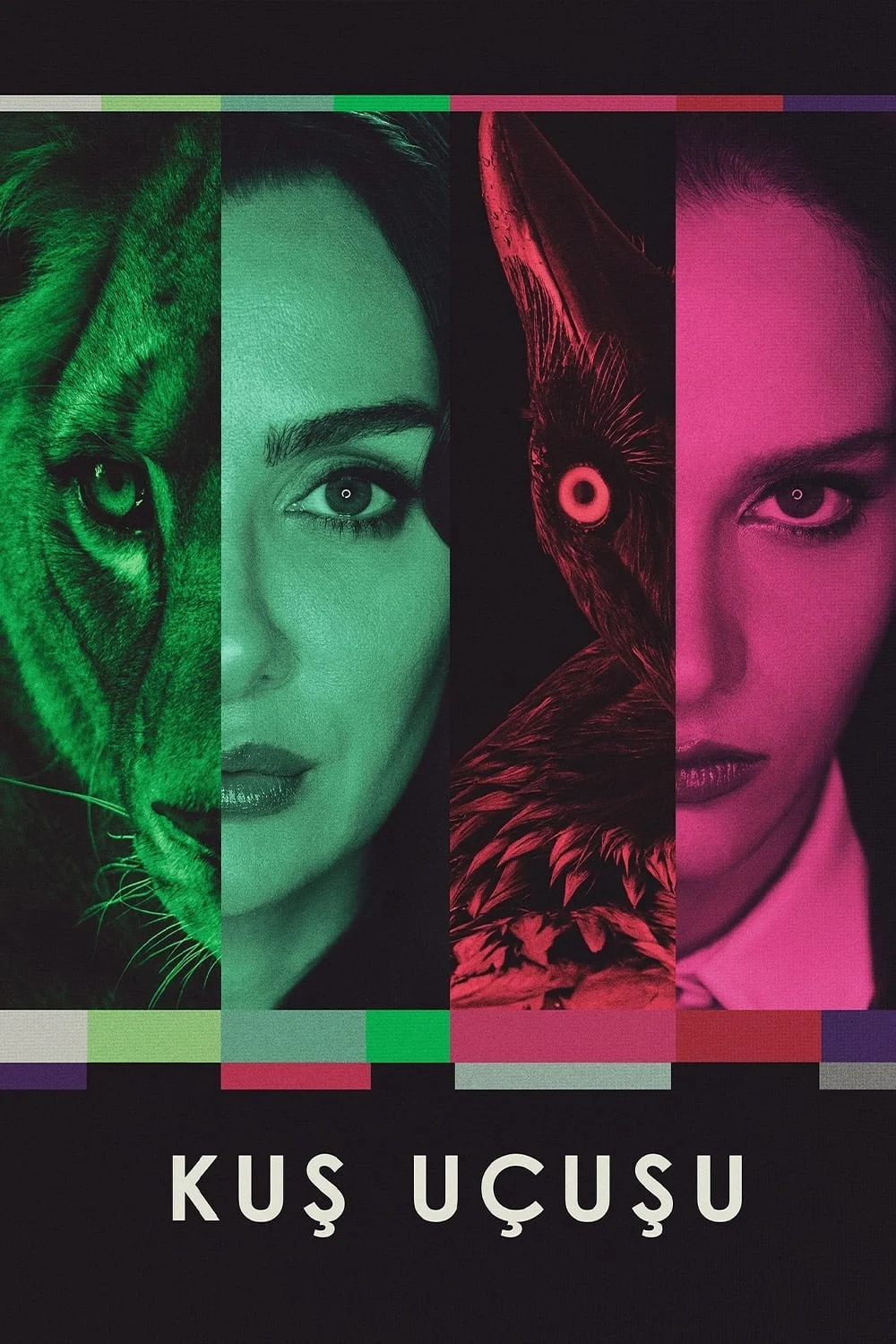 Đôi Cánh Tham Vọng (Phần 1) - As The Crow Flies (Season 1)