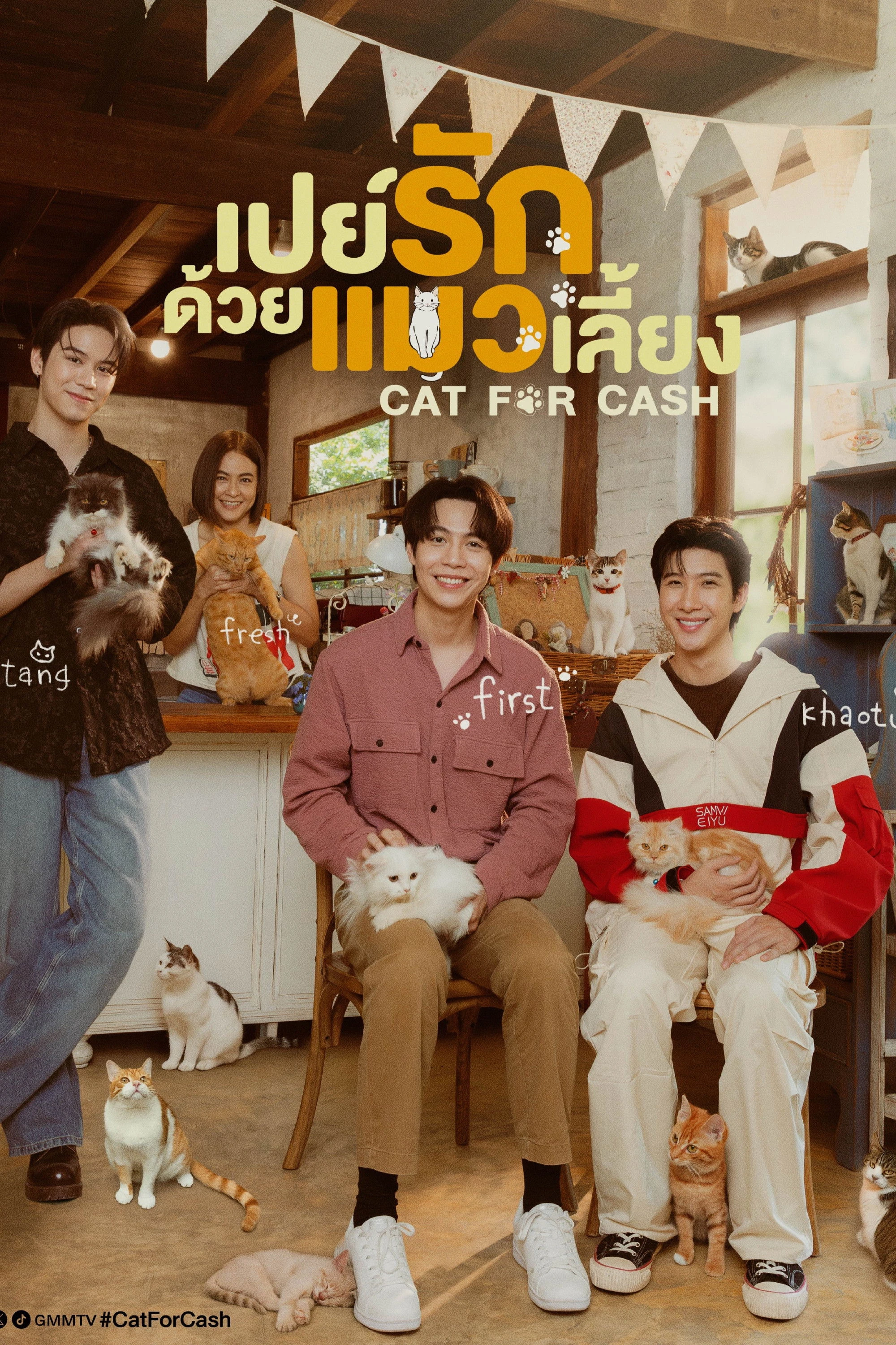 Đổi Tình Lấy Mèo - Cat For Cash