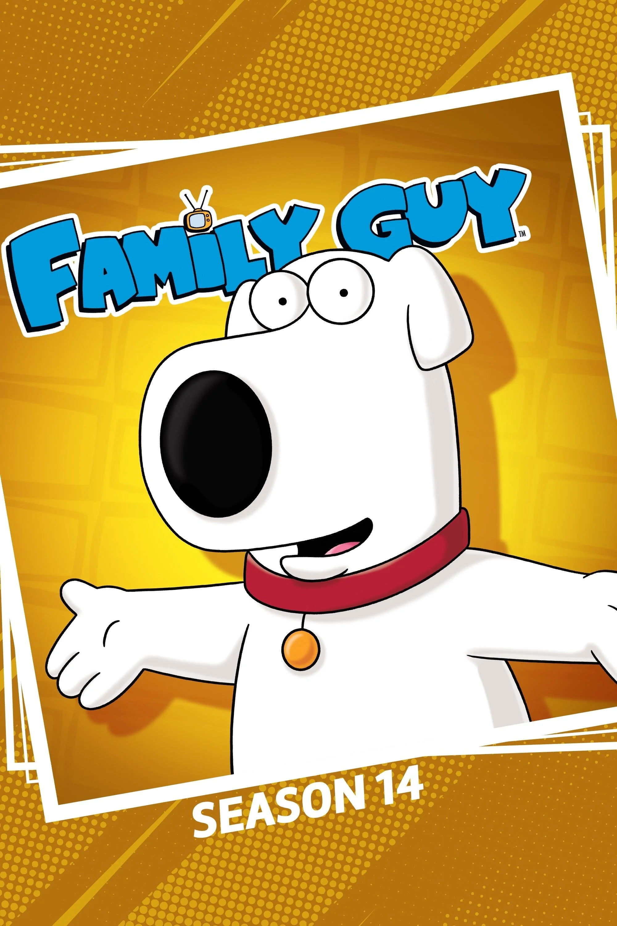 Family Guy (Phần 14) - Family Guy (Season 14)
