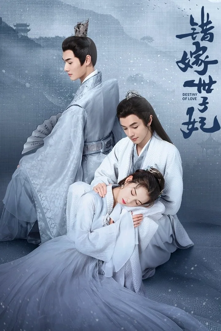 Gả Nhầm Thế Tử Phi - Destiny Of Love