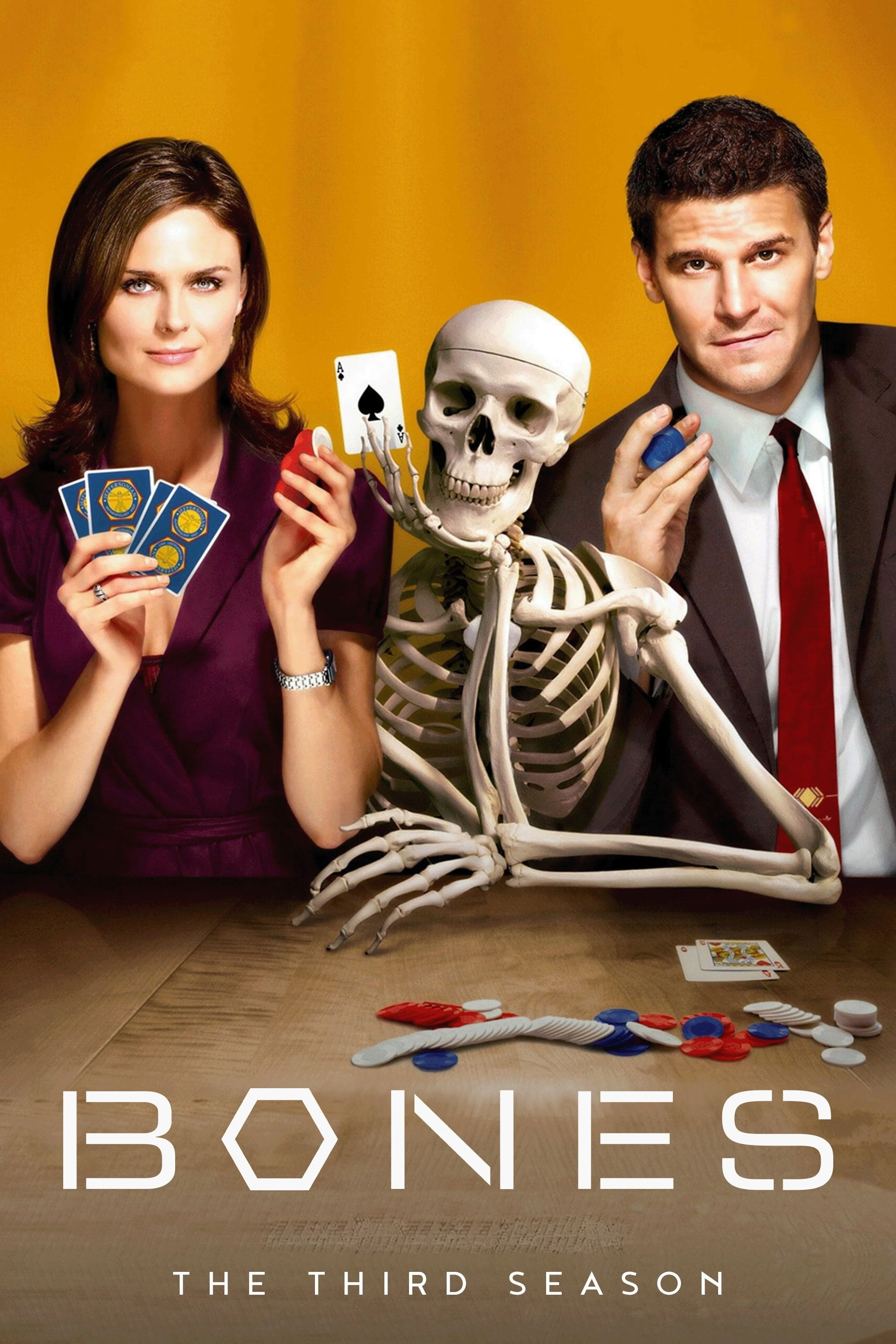 Hài Cốt (Phần 3) - Bones (Season 3)