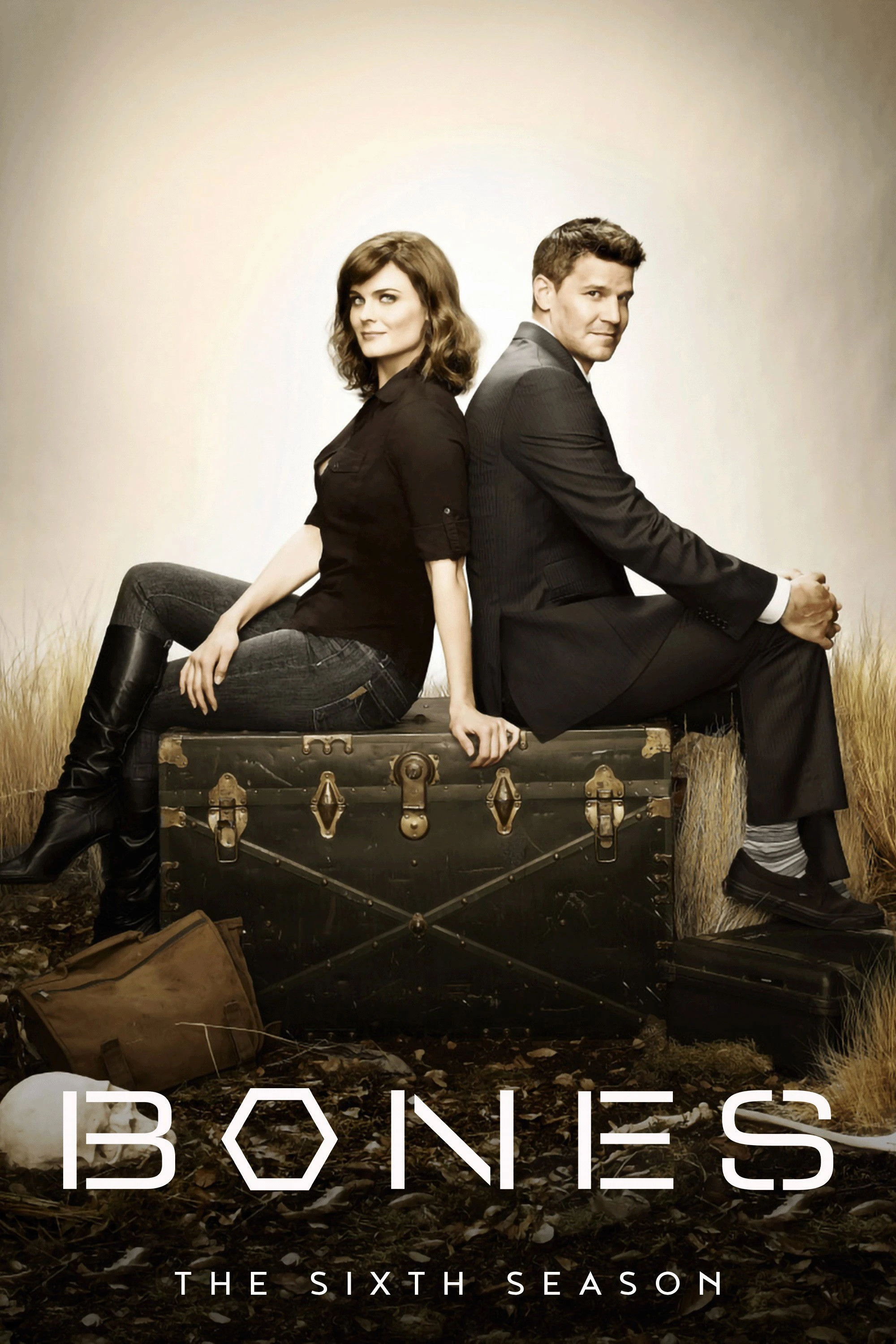 Hài Cốt (Phần 6) - Bones (Season 6)