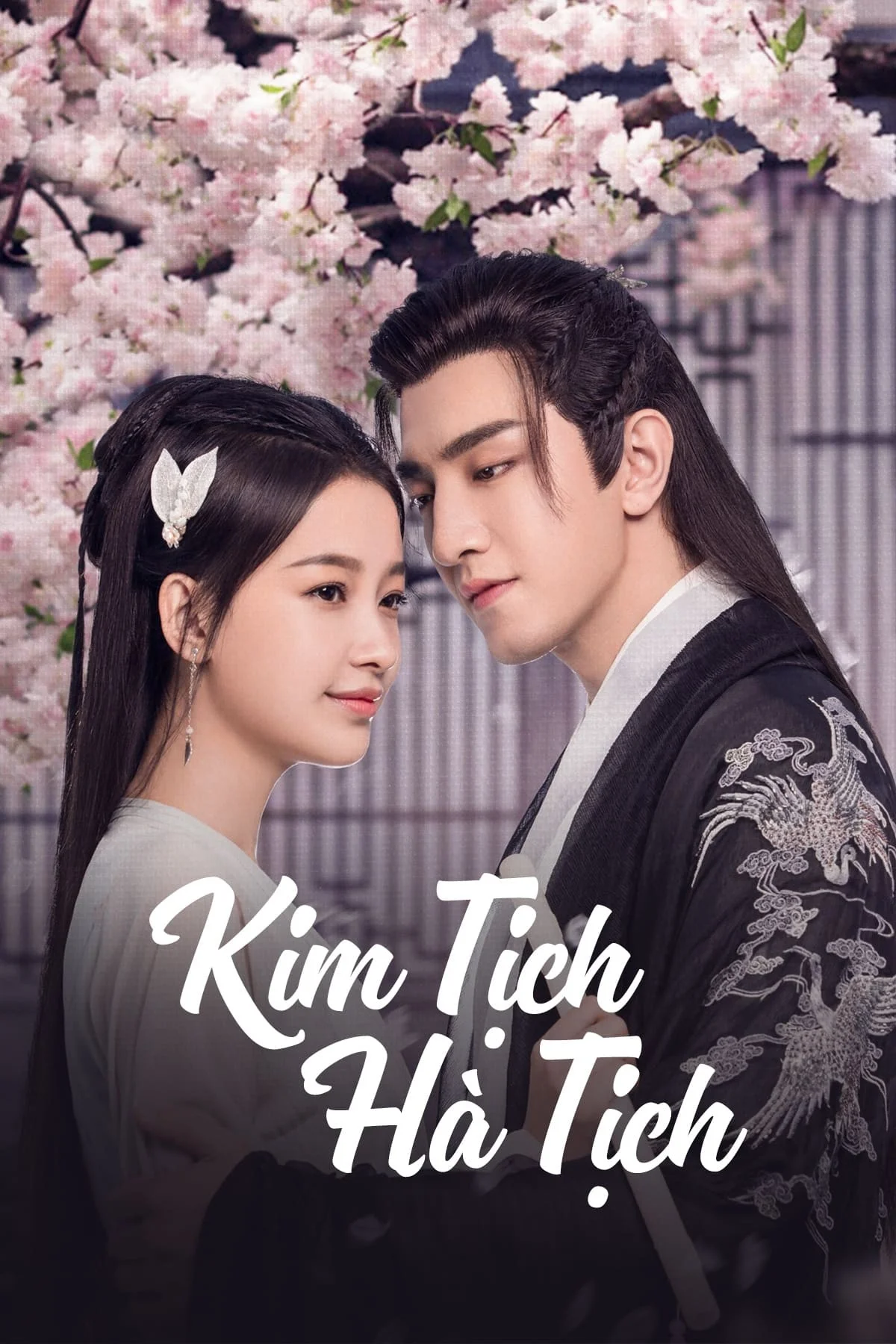 Kim Tịch Hà Tịch - Twisted Fate Of Love