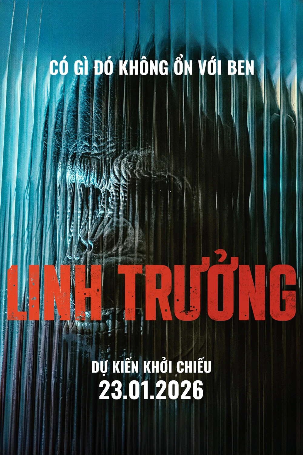 Linh Trưởng - Primate