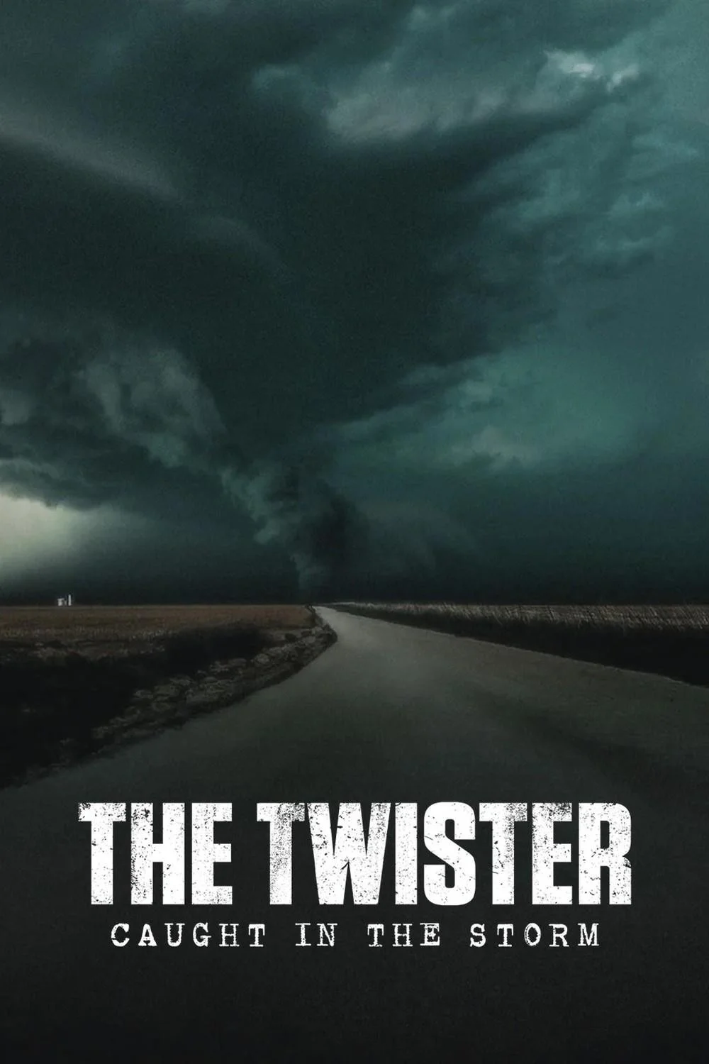 Lốc Xoáy: Kẹt Trong Tâm Bão - The Twister: Caught In The Storm
