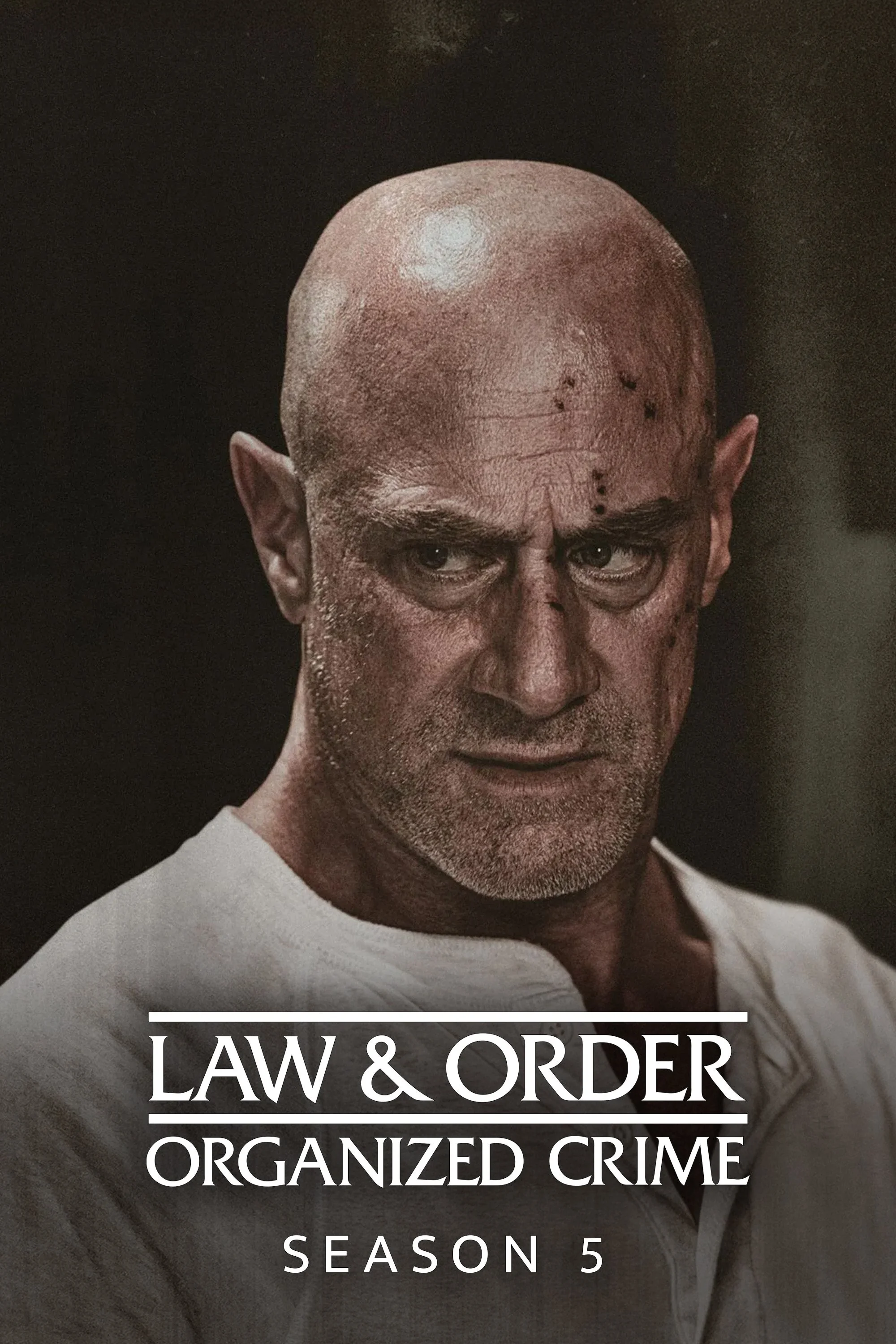 Luật Pháp Và Trật Tự: Tội Phạm Có Tổ Chức (Phần 5) - Law & Order: Organized Crime (Season 5)