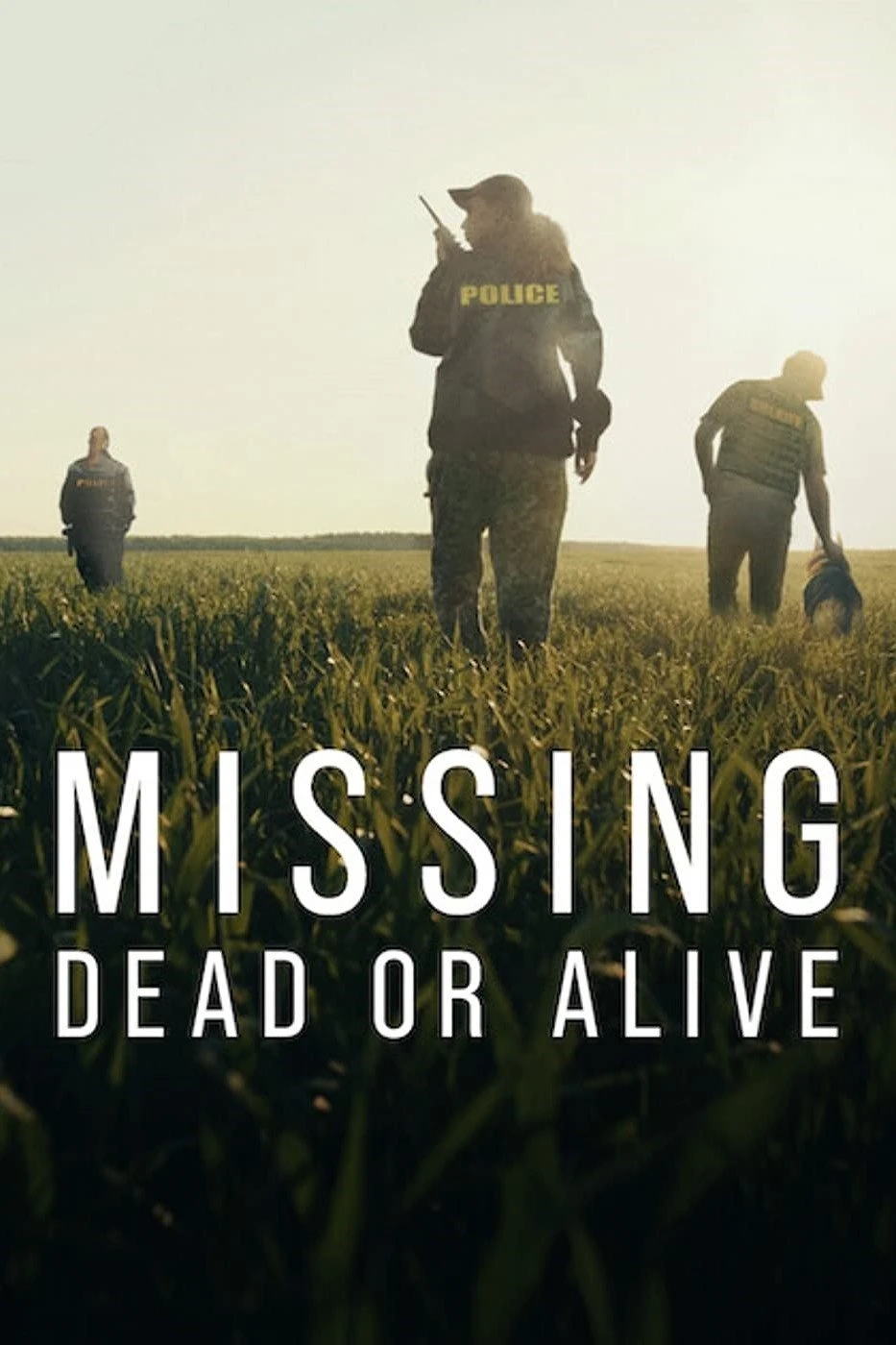 Mất Tích Đã Chết Hay Còn Sống (Phần 2) - Missing: Dead Or Alive (Season 2)