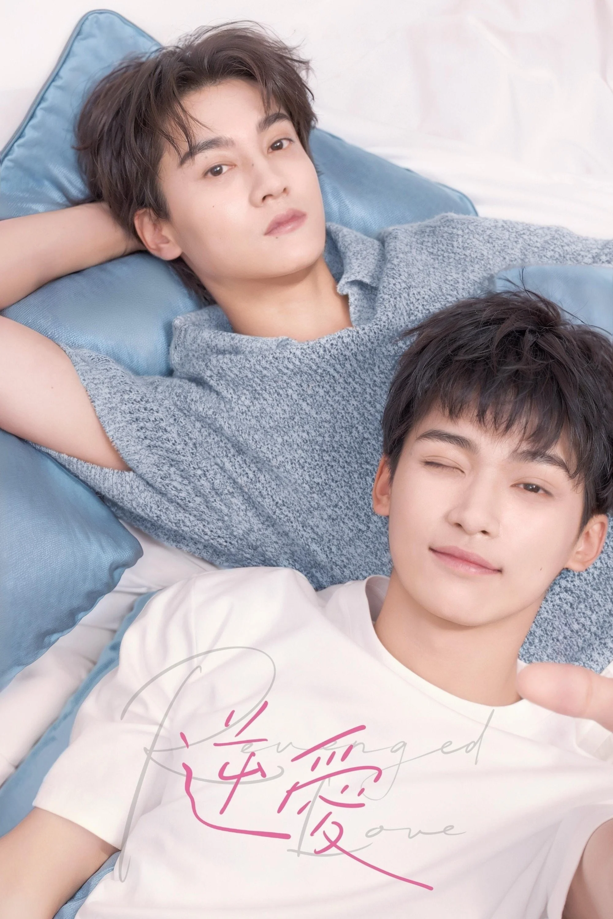 Nghịch Tập (Nghịch Ái) - Revenged Love