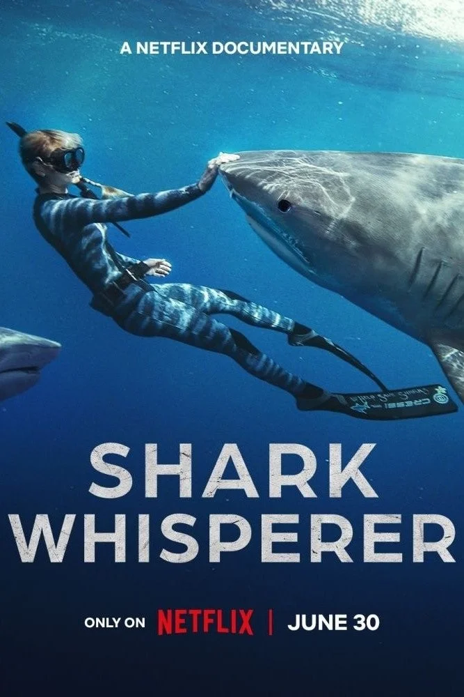 Người Bạn Của Cá Mập - Shark Whisperer