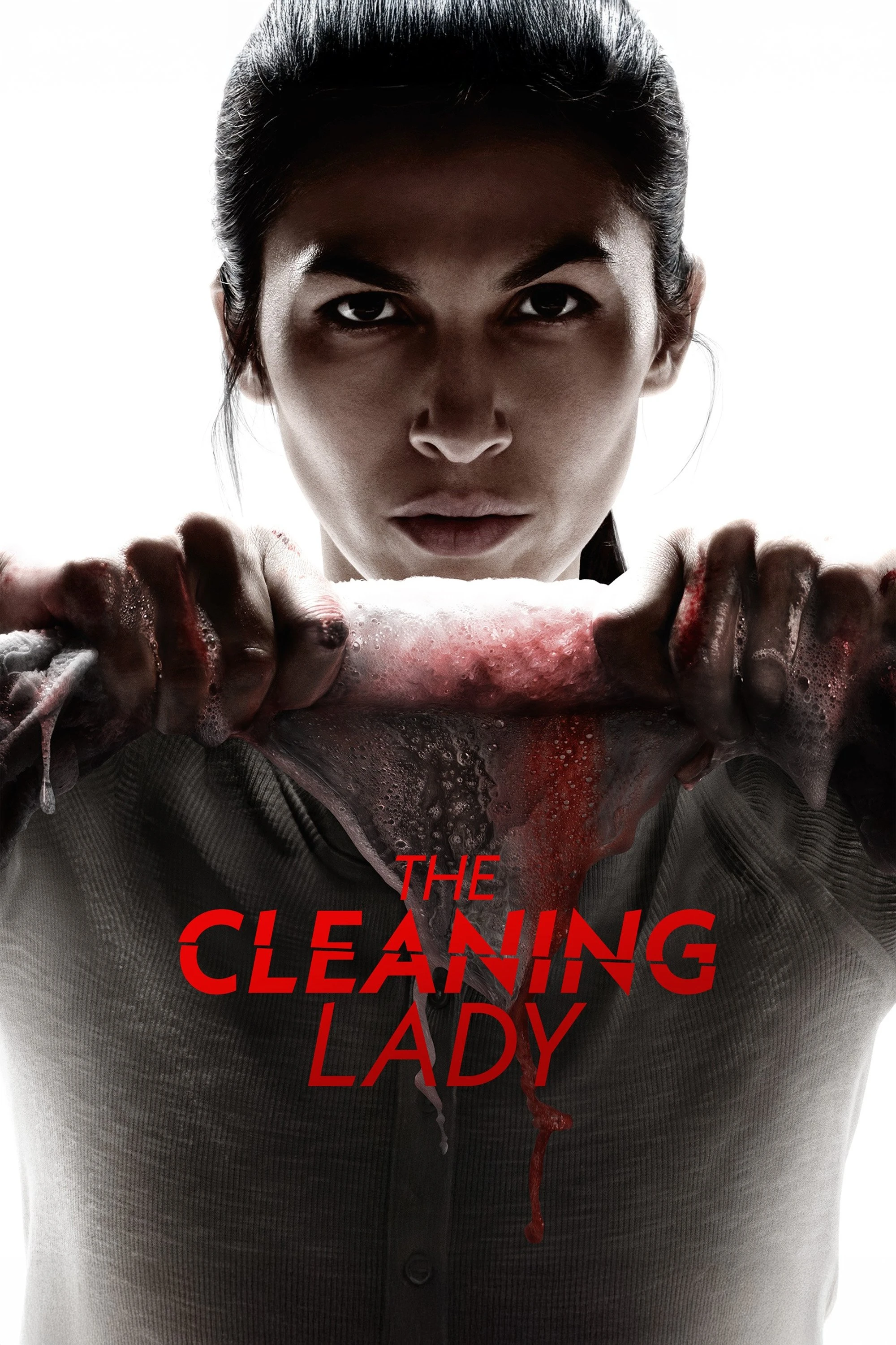 Người Hầu Phòng Bí Ẩn (Phần 4) - The Cleaning Lady (Season 4)
