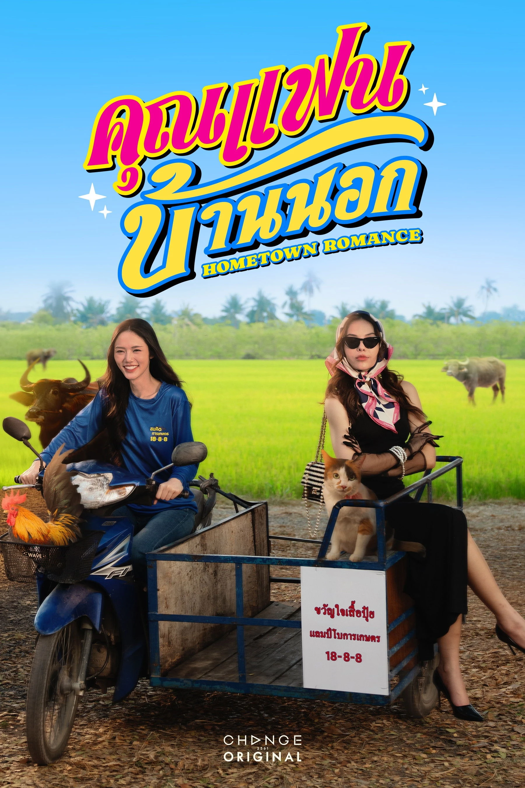 Người Yêu Miền Quê - Hometown Romance