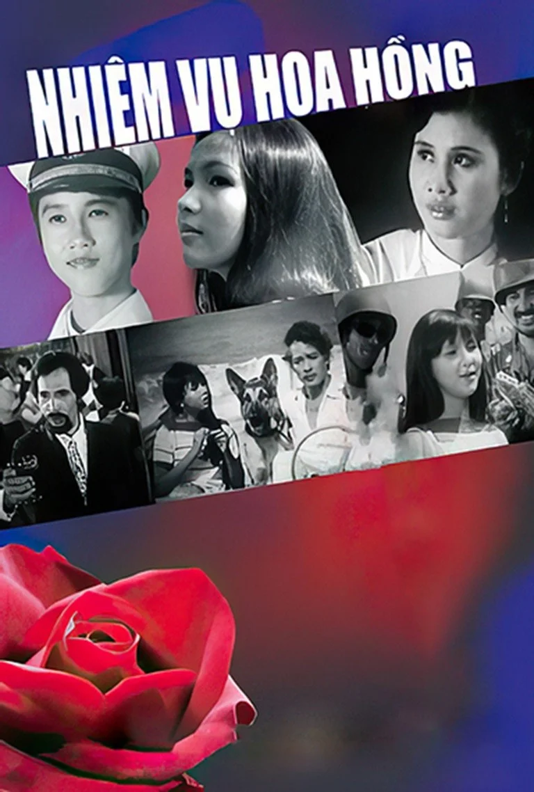 Nhiệm Vụ Hoa Hồng - Mission Rose