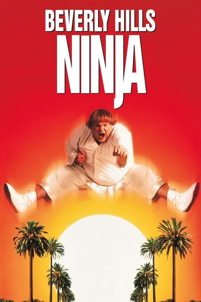 Ninja Đồi Beverly - Beverly Hills Ninja