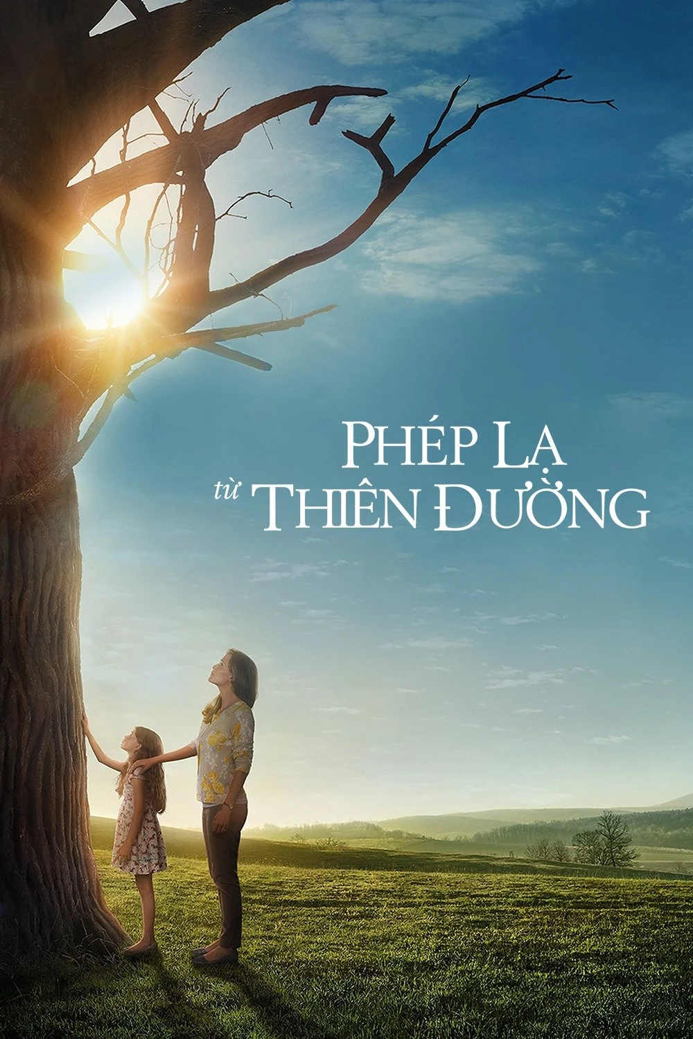 Phép Lạ Từ Thiên Đường - Miracles From Heaven