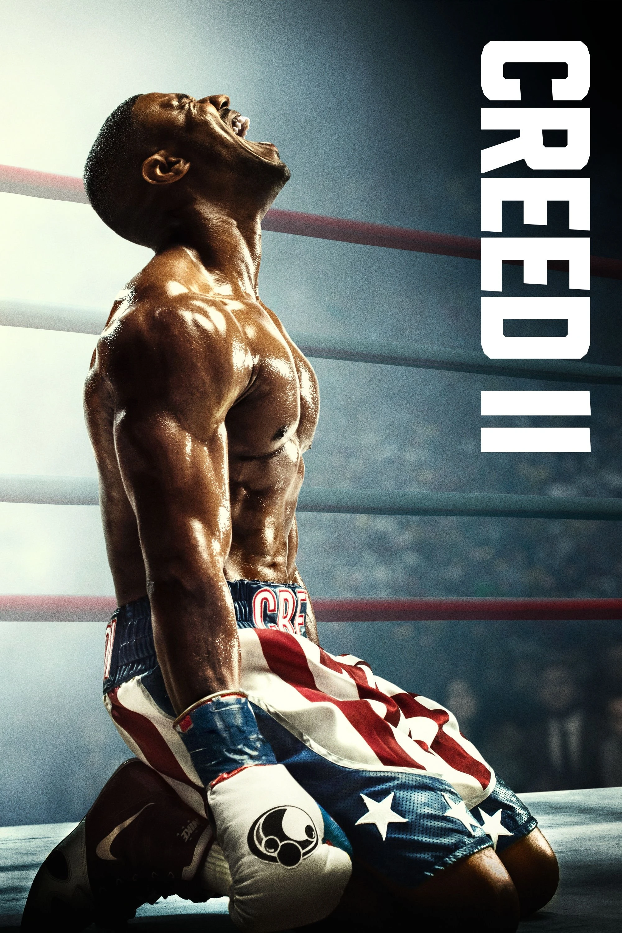 Tay Đấm Huyền Thoại 2 - Creed II
