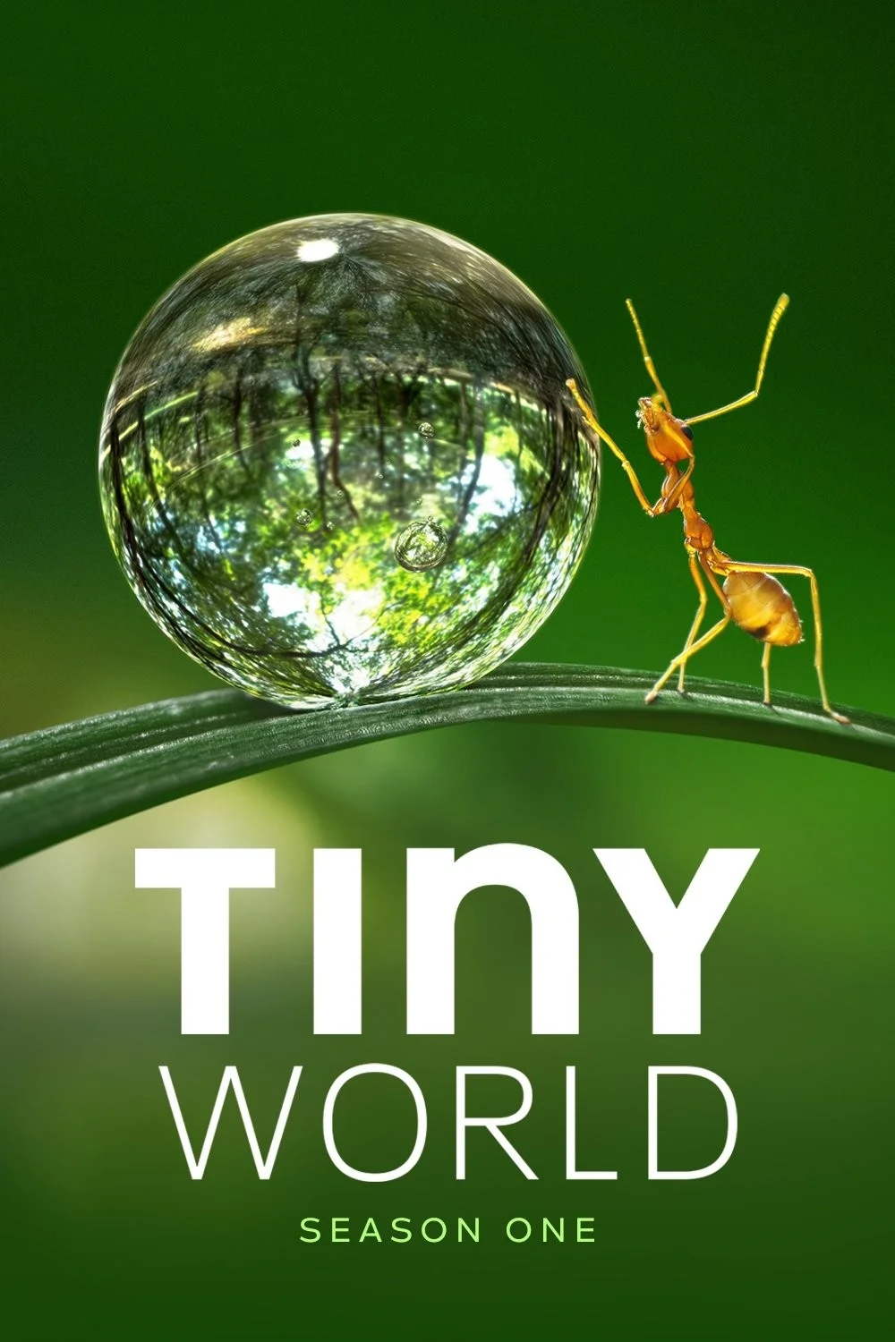 Thế Giới Siêu Nhỏ (Phần 1) - Tiny World (Season 1)