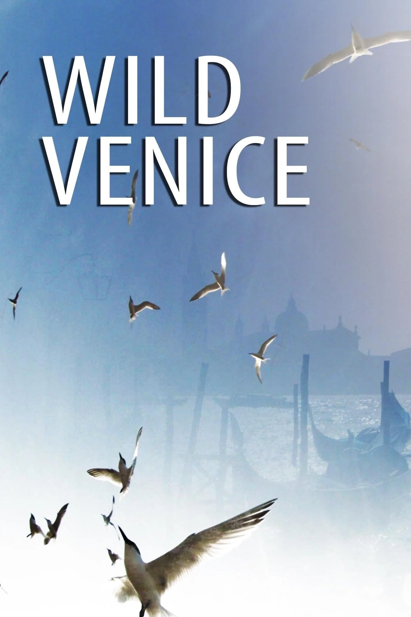Thiên Nhiên Hoang Dã Venice - Wild Venice