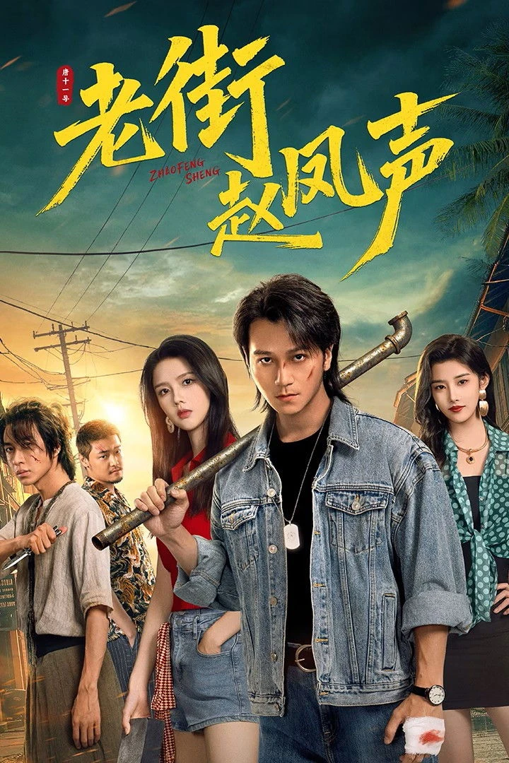 Triệu Phượng Thanh Ở Phố Cũ - Old Street Justice