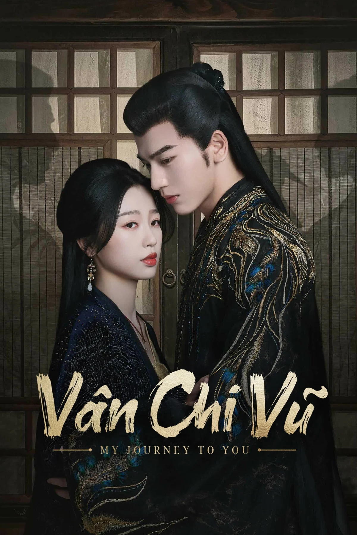 Vân Chi Vũ - My Journey To You