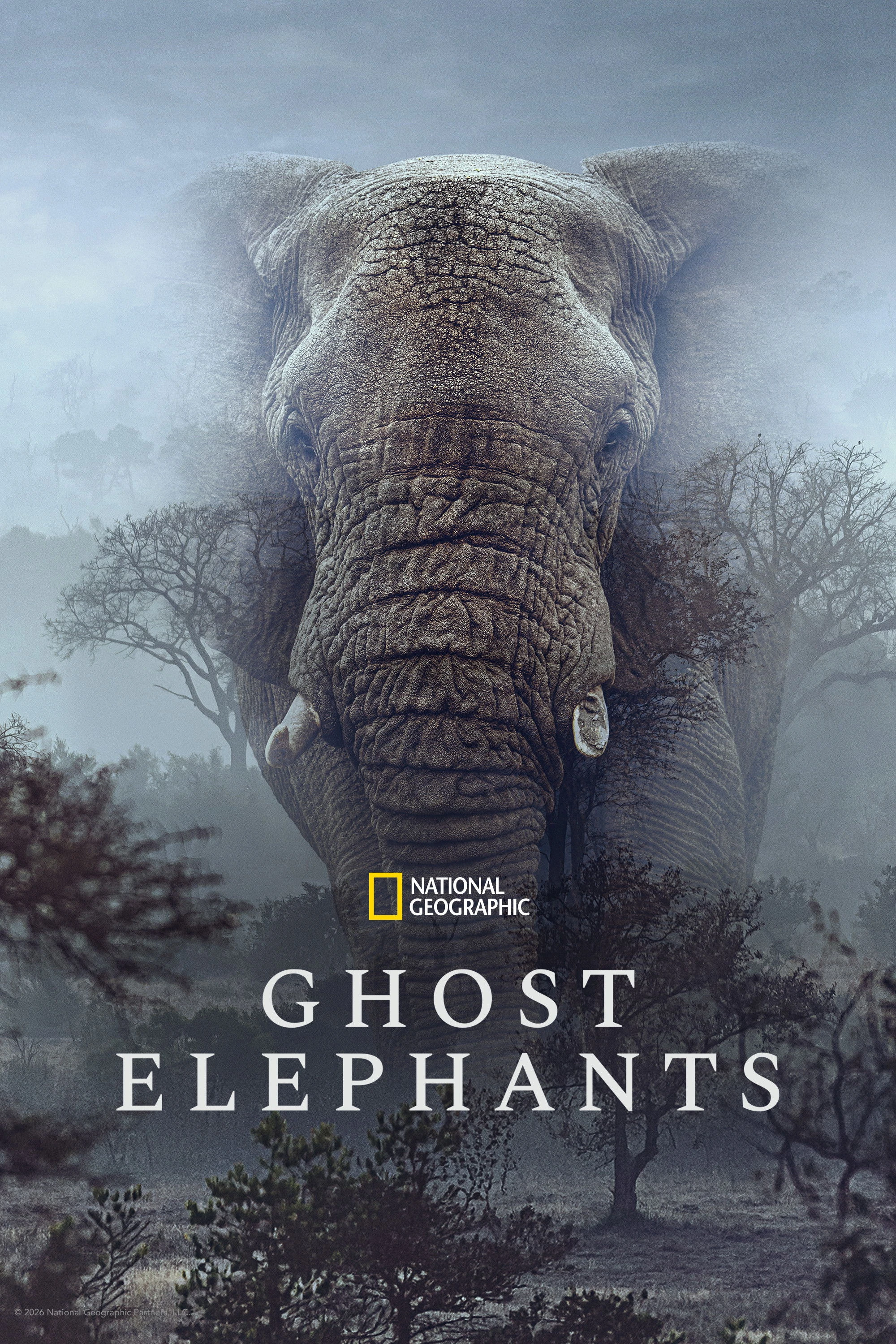 Voi Ma - Ghost Elephants
